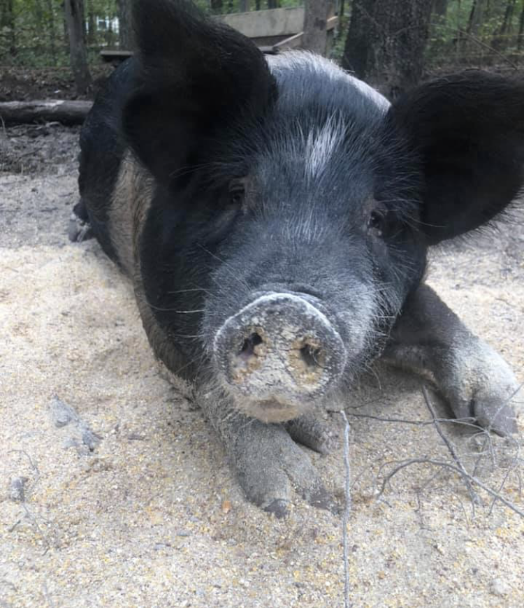 McKnight Family Homestead